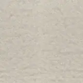307810 - WHITE